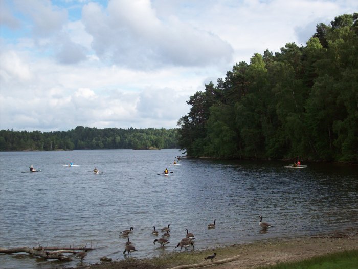 Delsjon juli 2012