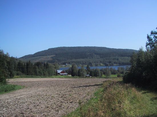 falun1.jpg (40587 bytes)