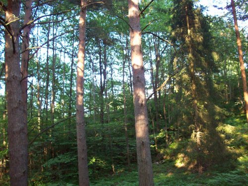 hordalen_20.jpg (75458 bytes)