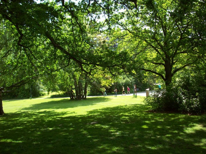 Slottsskogen