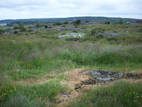 oxnas 037.jpg (48532 bytes)