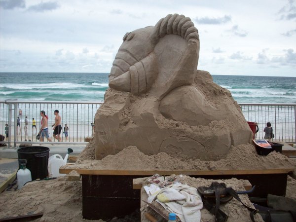 Elefant i sand